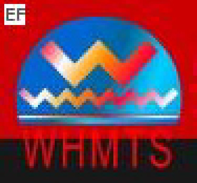 2008華中地區(qū)(武漢)第五屆機(jī)床工具展覽會(huì)