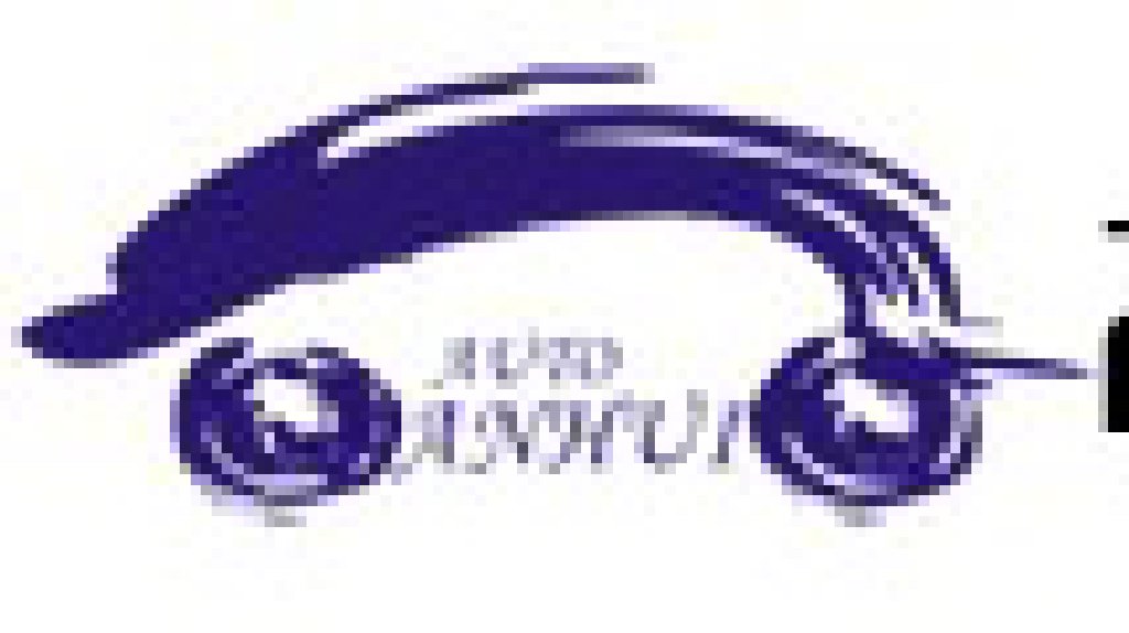 2011第八屆中國安徽國際汽車展覽會